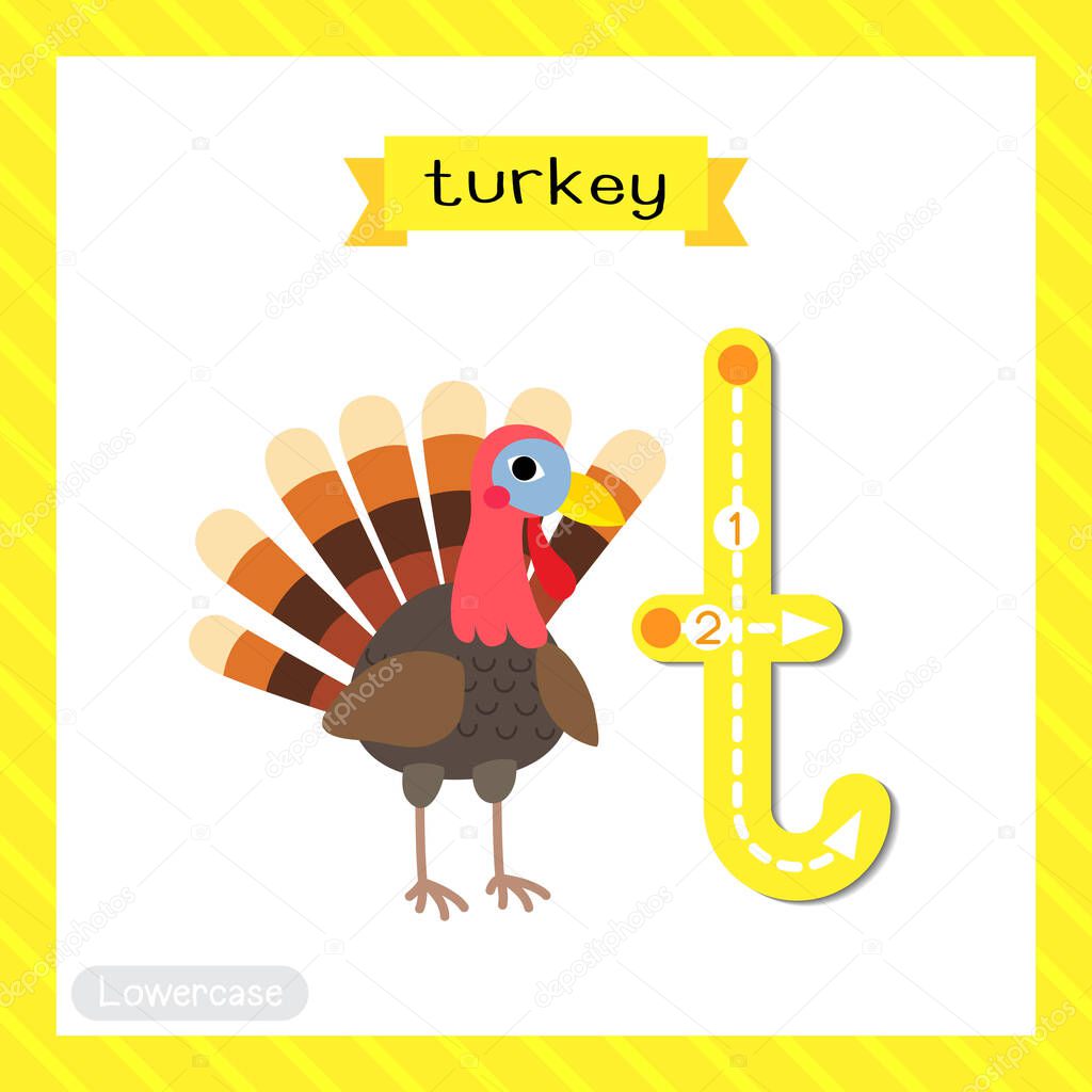 Letter T lowercase cute children colorful zoo and animals ABC alphabet tracing flashcard of Turkey bird for kids learning English vocabulary and handwriting vector illustration.