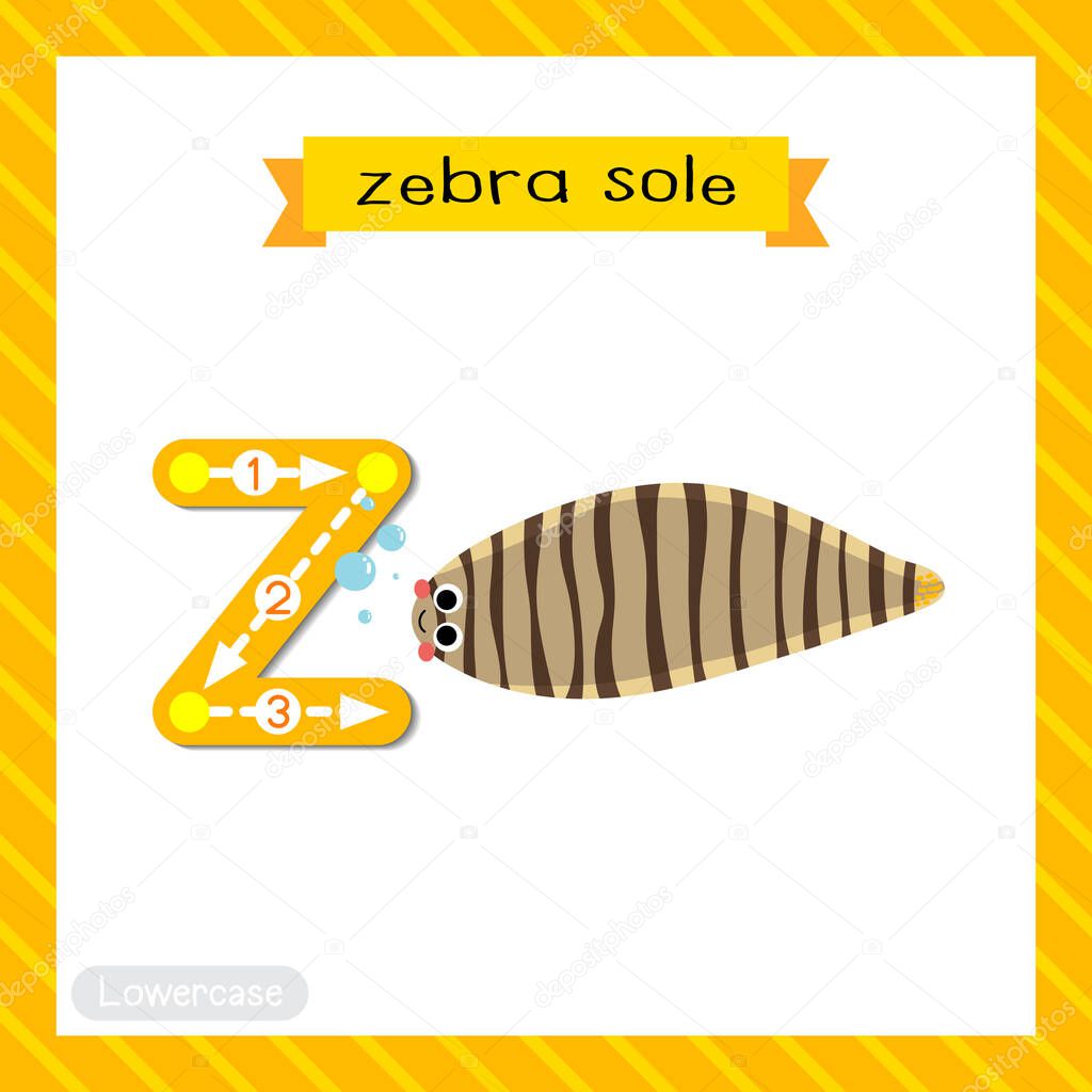 Letter Z lowercase cute children colorful zoo and animals ABC alphabet tracing flashcard of Zebra Sole for kids learning English vocabulary and handwriting vector illustration.