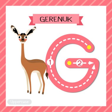 G harfi büyük çocuklar için renkli hayvanat bahçesi ve ABC alfabesi çocuklar için Duran Gerenuk 'un İngilizce sözcük dağarcığı ve el yazısı vektör ilüstrasyonunu öğrenenler için bilgi kartı..