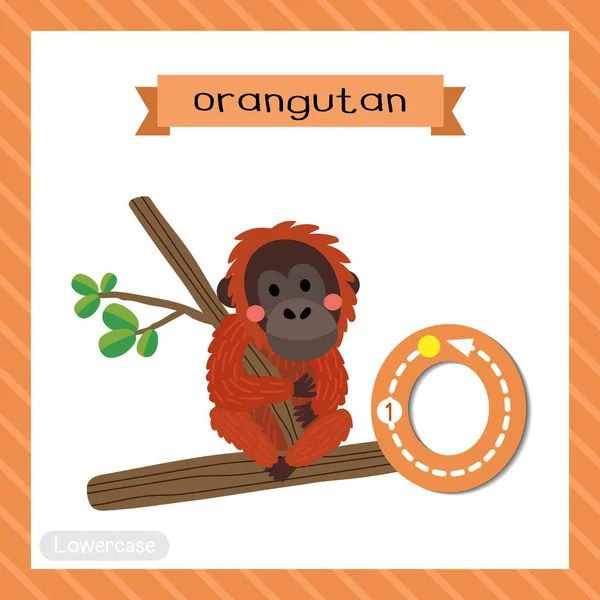 Urangutanストックベクター ロイヤリティフリーurangutanイラスト Depositphotos Urangutanストックベクター ロイヤリティフリーurangutanイラスト Depositphotos