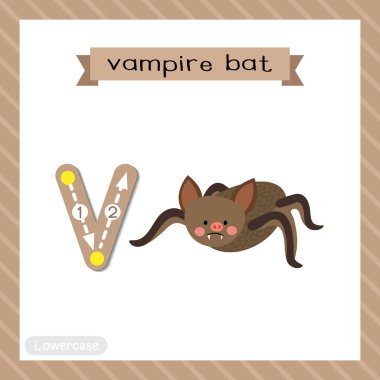 V harfi küçük çocuklar için renkli hayvanat bahçesi ve ABC alfabesindeki hayvanlar için Vampir Yarasa 'nın İngilizce kelime dağarcığı ve el yazısı vektör ilüstrasyonunu öğrenen çocuklar için hafıza kartı..
