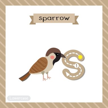 S harfi küçük çocuklar için renkli hayvanat bahçesi ve ABC alfabesi İngilizce kelime bilgisi ve el yazısı vektör çizimi öğrenen çocuklar için serçe kuşunun bilgi kartını takip ediyor..