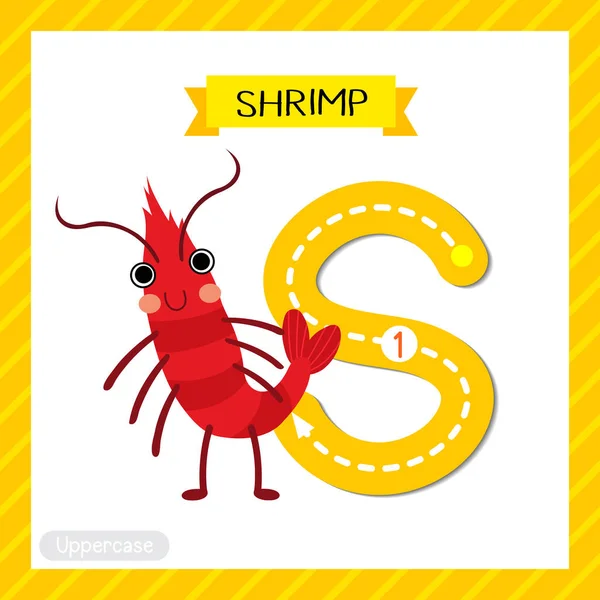 대문자귀여운 어린이 동물원 Abc 알파벳따라가기 단어와 그림을 배우는 아이들을 Shrimp — 스톡 벡터