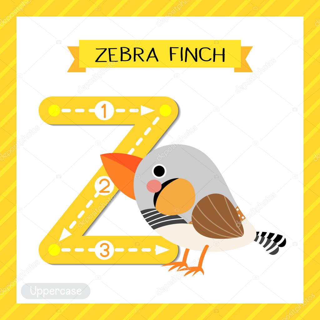 Letter Z uppercase cute children colorful zoo and animals ABC alphabet tracing flashcard of Zebra Finch bird for kids learning English vocabulary and handwriting vector illustration.