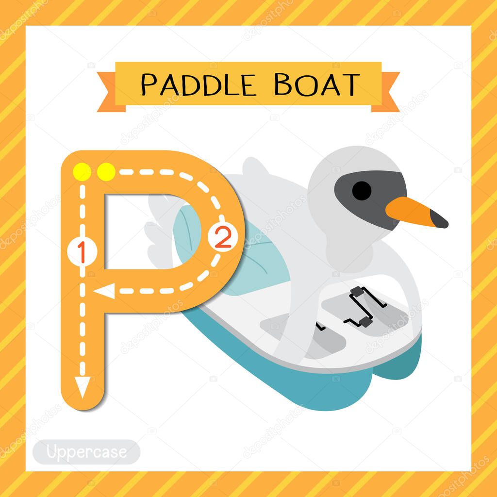 Letter P uppercase cute children colorful transportations ABC alphabet tracing flashcard of Paddle Boat for kids learning English vocabulary and handwriting Vector Illustration.