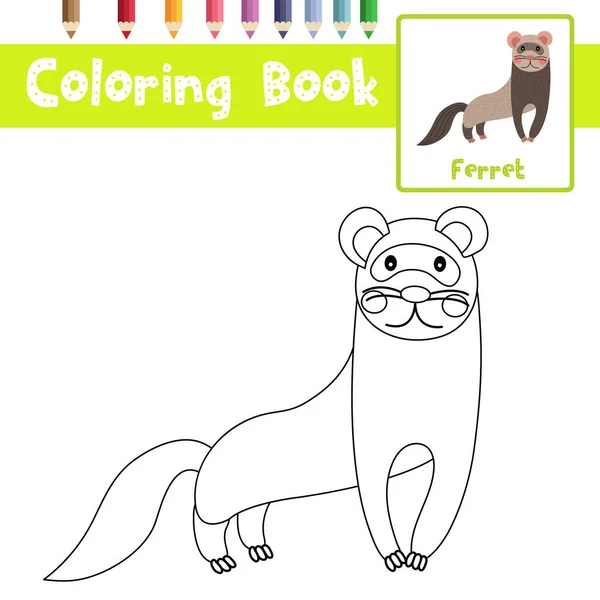 Página Para Colorear Del Personaje Dibujos Animados Los Animales Hurón — Vector de stock
