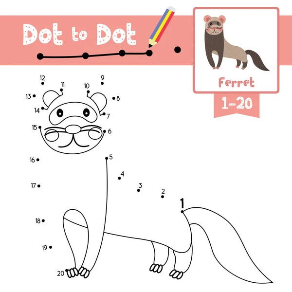 Dot Dot Jeu Éducatif Coloriage Livre Animaux Furet Personnage Bande — Image vectorielle