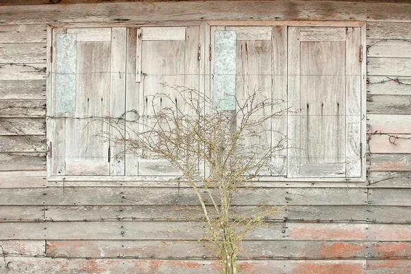 Vieja pared de madera y cerrar ventana con árbol — Foto de Stock