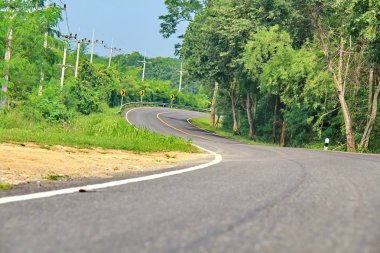 eğri yol dağ ve orman