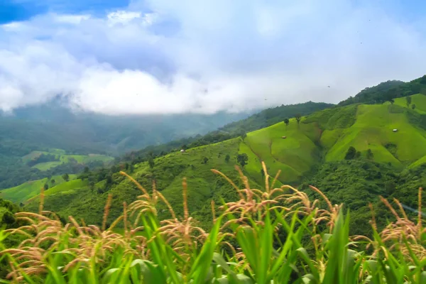 Schöne Berglandschaft mit Landwirtschaft und blauem Himmel — Stockfoto