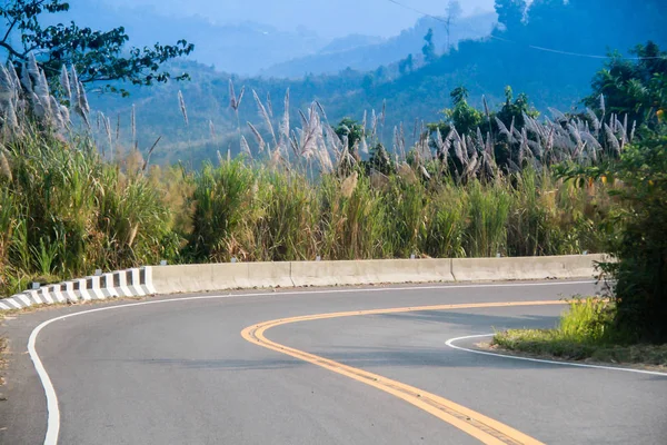 Empty curve road in the mountain and forest, country road in nor