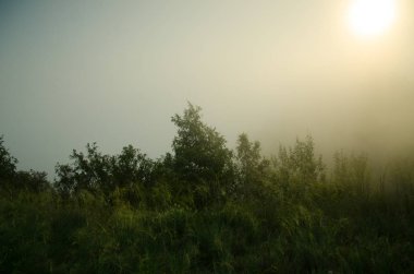 Rusya'nın doğa: gücü, uyum ve huzur
