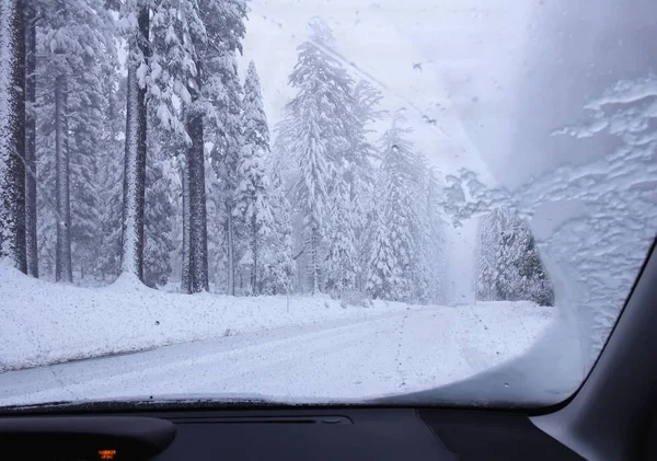 Driving though snowy forest — Stock Photo, Image