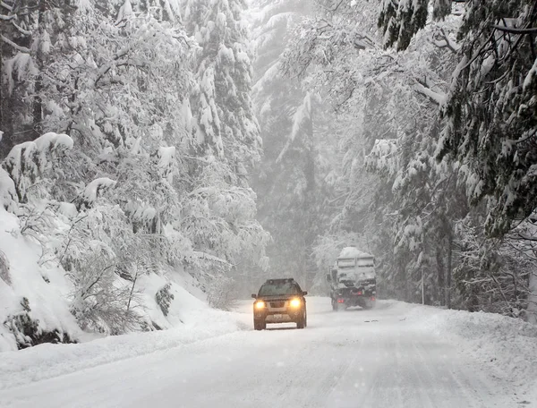 Conduire dans la forêt d'hiver — Photo