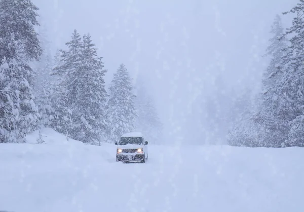 Strada invernale. Nevicate . — Foto Stock