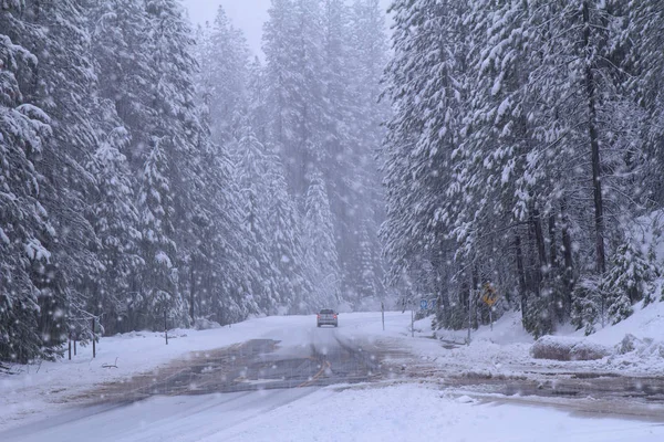 Дорога з машиною в зимовому лісі — стокове фото