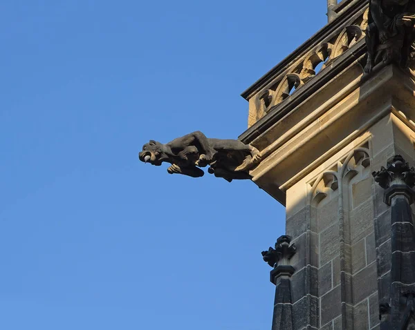 Gargoyle, St Vitus Cathedral. — Stock Photo, Image