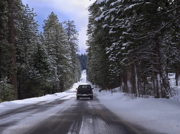 Conducir en un bosque nevado — Foto de Stock