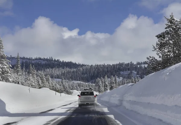 Autofahren im Schneewald — Stockfoto