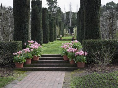Filoli tarihsel bahçesinde bahar.