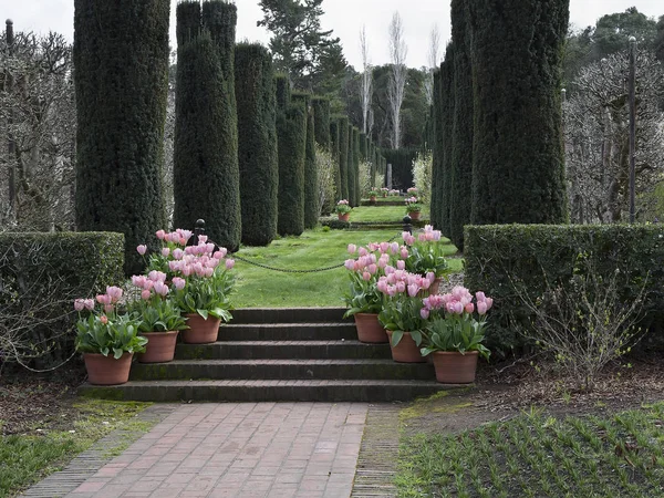 Filoli tarihsel bahçesinde bahar.