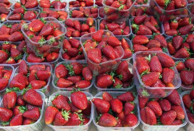 Taze çilek pazarında Satılık. Gıda arka plan.