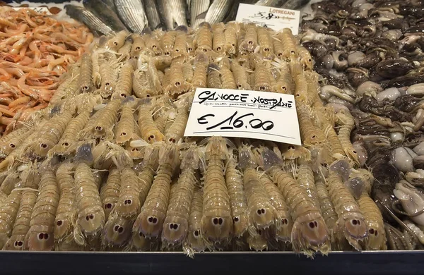 Sea food (Mantis shrimps) at Pescheria (Rialto Fish Market) in V — Stock Photo, Image