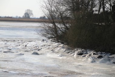 Buz pul reed ile Hollanda'da kış aylarında Moordrecht de Hollandse IJssel Nehri üzerinde.