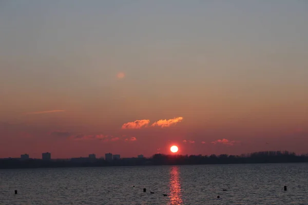 Sunset Lake Named Zevenhuizer Plas Skyline Rotterdam City Center Background — Stock Photo, Image