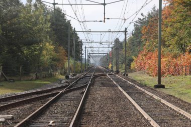 Amersfoort ve Zwolle arasındaki tren yolu sonbaharda sert olmaz.