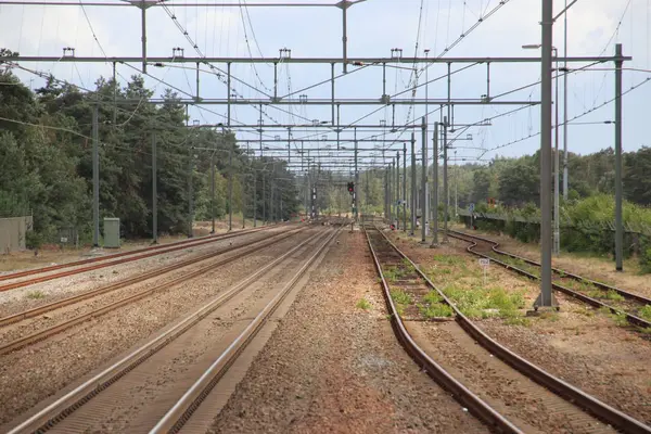 Tor Kolejowy Między Amersfoort Zwolle Stacji Harde Jesienią — Zdjęcie stockowe