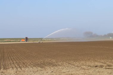 Hollanda 'daki Goeree Overflakkee adasında çiftçiler kuru kil tarlalarına su püskürtüyor.