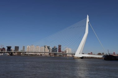 Nehterland 'in Rotterdam şehrindeki Nieuwe Maas nehri üzerindeki beyaz erasmusbrug köprüsü.