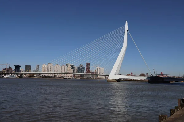 Biały Most Nad Rzeką Nieuwe Maas Centrum Rotterdamu Nehterlandach — Zdjęcie stockowe