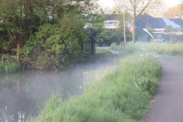 在老村庄Nieuwerkerk Aan Den Ijssel的丘陵地带 晨雾笼罩着草地和沟渠 — 图库照片
