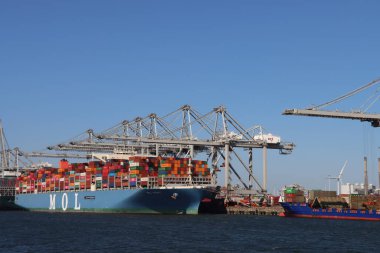 Hollanda Rotterdam Limanı Maasvlakte Limanı 'ndaki konteyner gemileri.