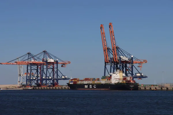 Msc Shannon Puerto Maasvlakte Puerto Rotterdam Países Bajos — Foto de Stock