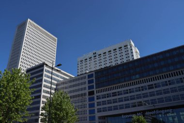 Hollanda Rotterdam 'daki Üniversite Hastanesi' nin yüksek binaları Erasmus MC