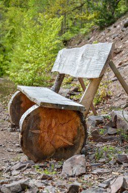 Ormanın içinde ahşap bank