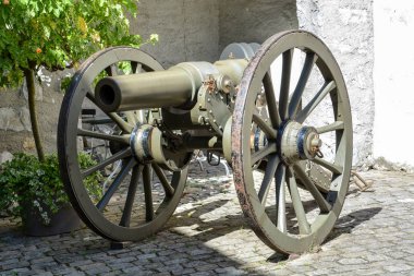 Eski paslı yeşil canon ayakta Thun Kalesi