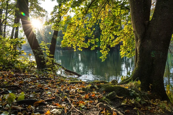 Lever de soleil sur une rivière aux feuilles d'automne colorées — Photo