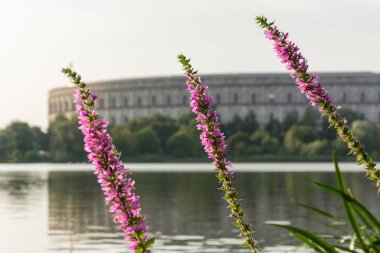 Nürnberg, Almanya - 30 Ağustos 2017: 