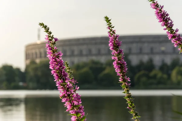 Nürnberg, Tyskland - 30 augusti 2017: Den ”Kongresshalle” på den — Stockfoto