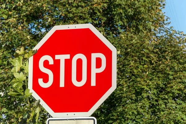 Stop sign in the street in front of trees — Stock Photo, Image