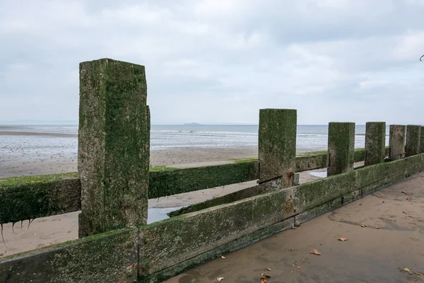 Vieux poteaux en bois recouverts de mousse sur une plage — Photo