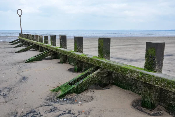 Vieux poteaux en bois recouverts de mousse sur une plage — Photo