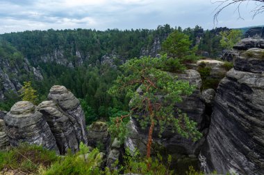 Sakson İsviçre 'de Dresden yakınlarında bulutlu bir sürü kaya var.