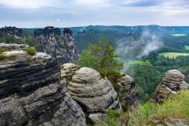 Sakson İsviçre 'de Dresden yakınlarında bulutlu ve sisli bir sürü kaya var.