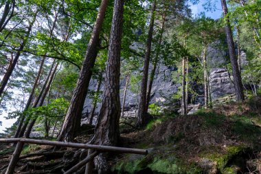 Sakson İsviçre 'deki Lilienstein Dağı' na tahta korkuluklarla taş basar.