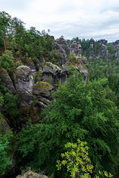 Bergformationer Saxon Schweiz Nära Dresden Med Dimma Molnig Dag — Stockfoto